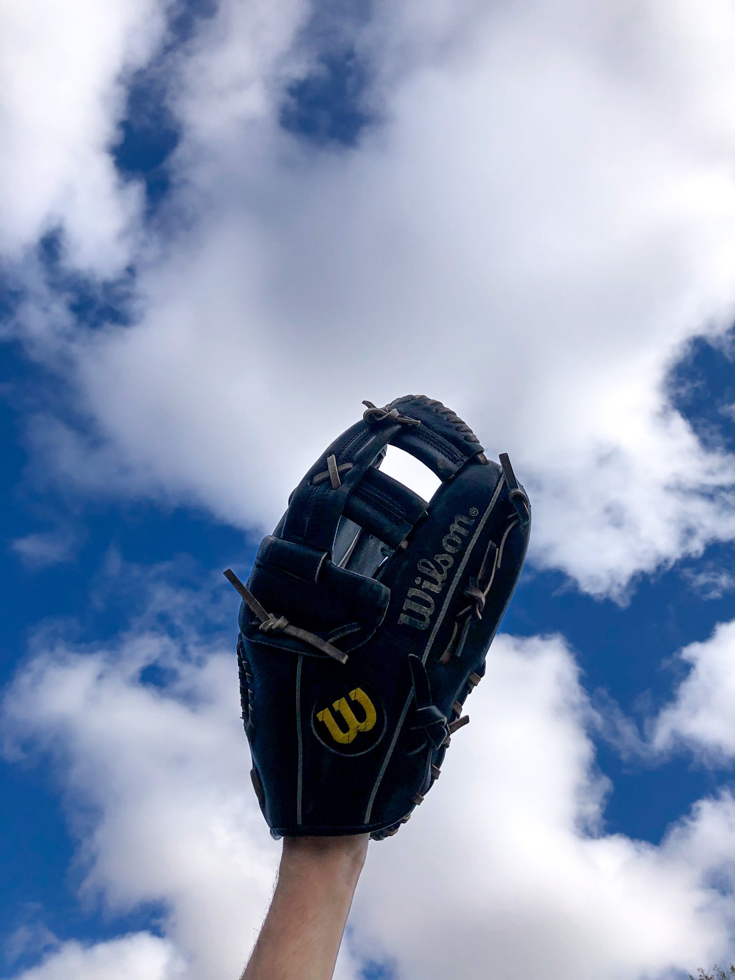 TMCo Wilson Joe Carter A2942 Wallet Box Set