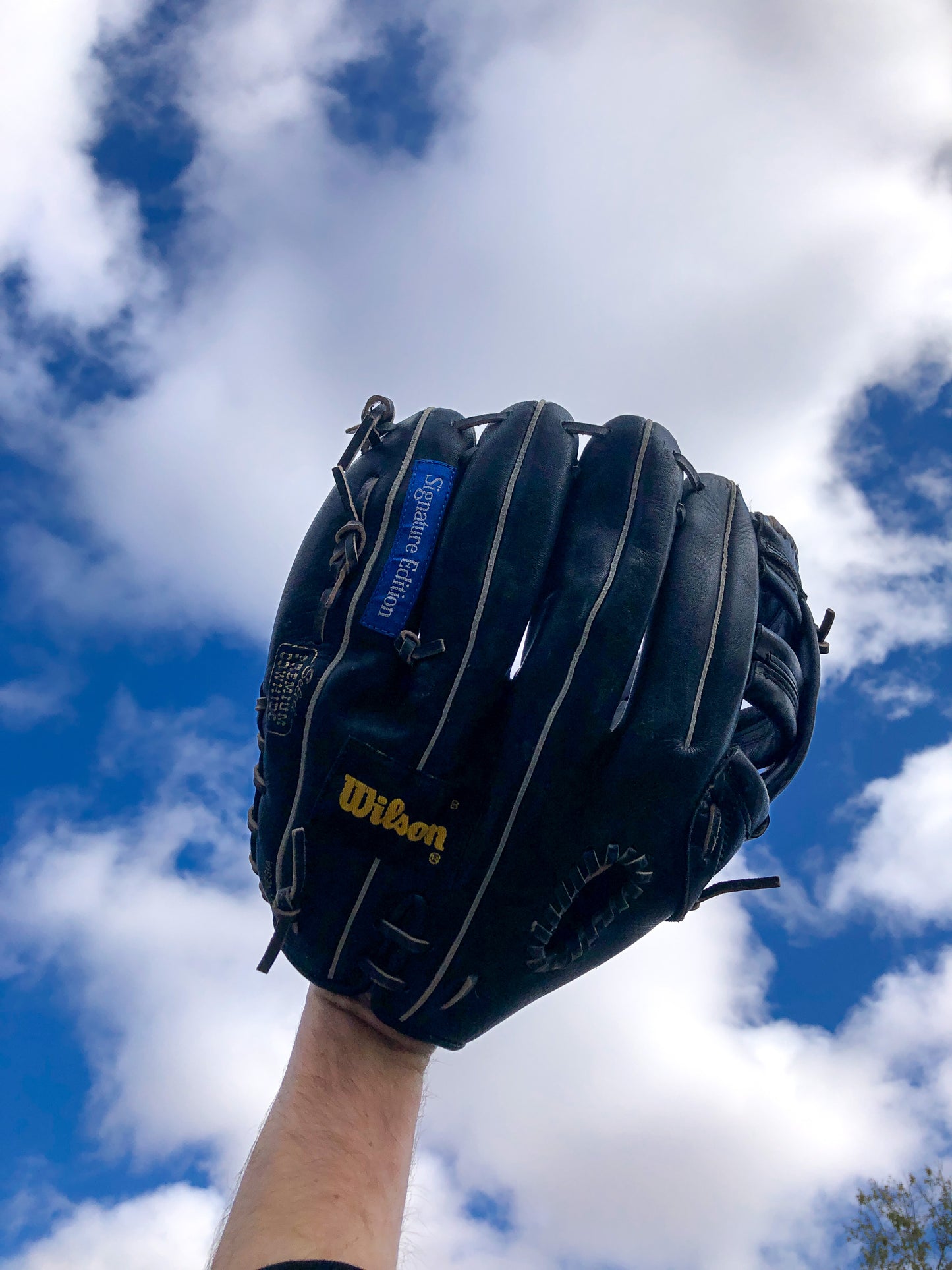 TMCo Wilson Joe Carter A2942 Wallet Box Set