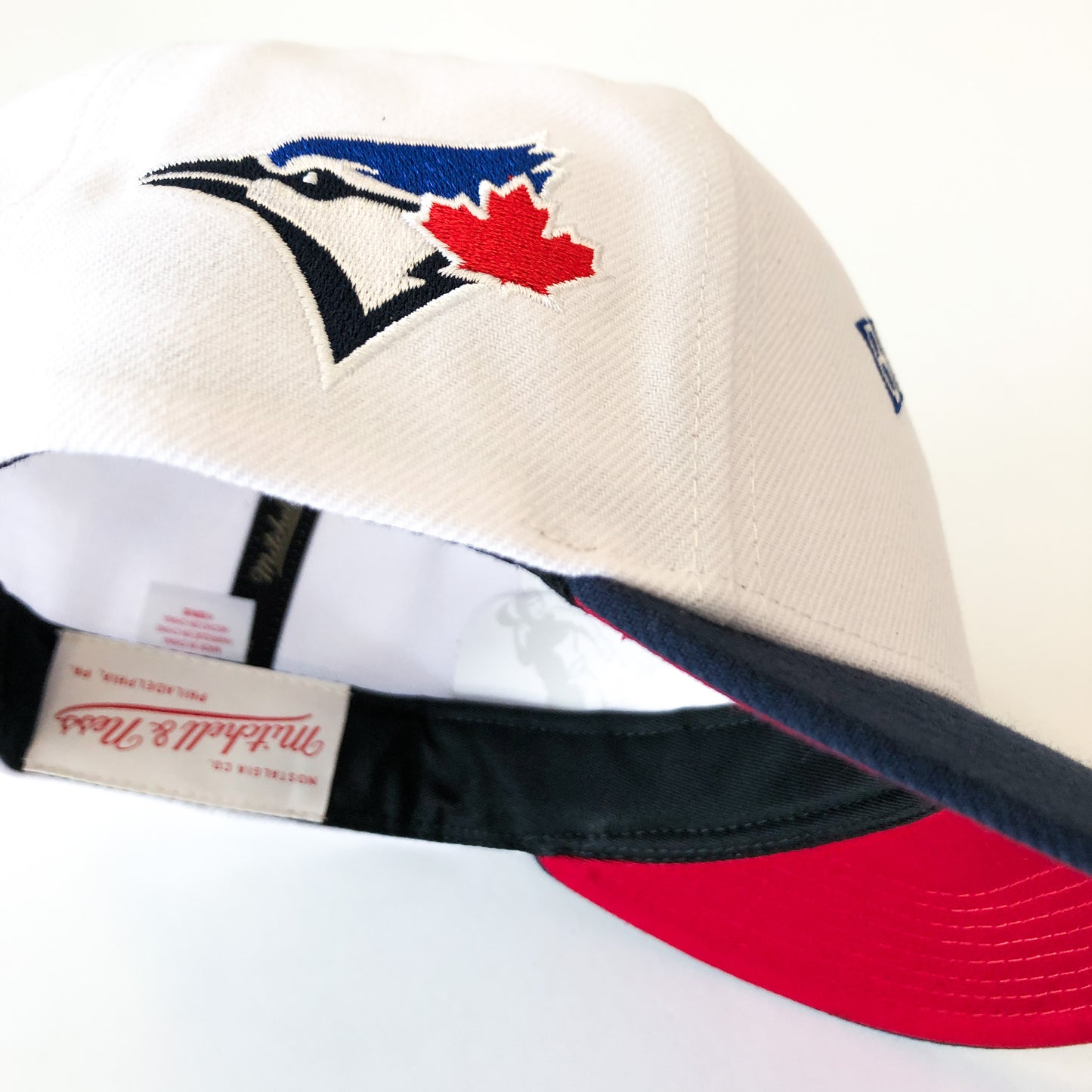 Mitchell and Ness Toronto Blue Jays Evergreen Pro Snapback