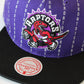 Mitchell and Ness Stripe Deadstock HWC Toronto Raptors Snapback retro basketball hardwood classic