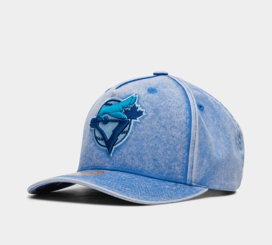 Mitchell and Ness Washed Out Tonal Toronto Blue Jays Pro Snapback