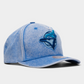 Mitchell and Ness Washed Out Tonal Toronto Blue Jays Pro Snapback