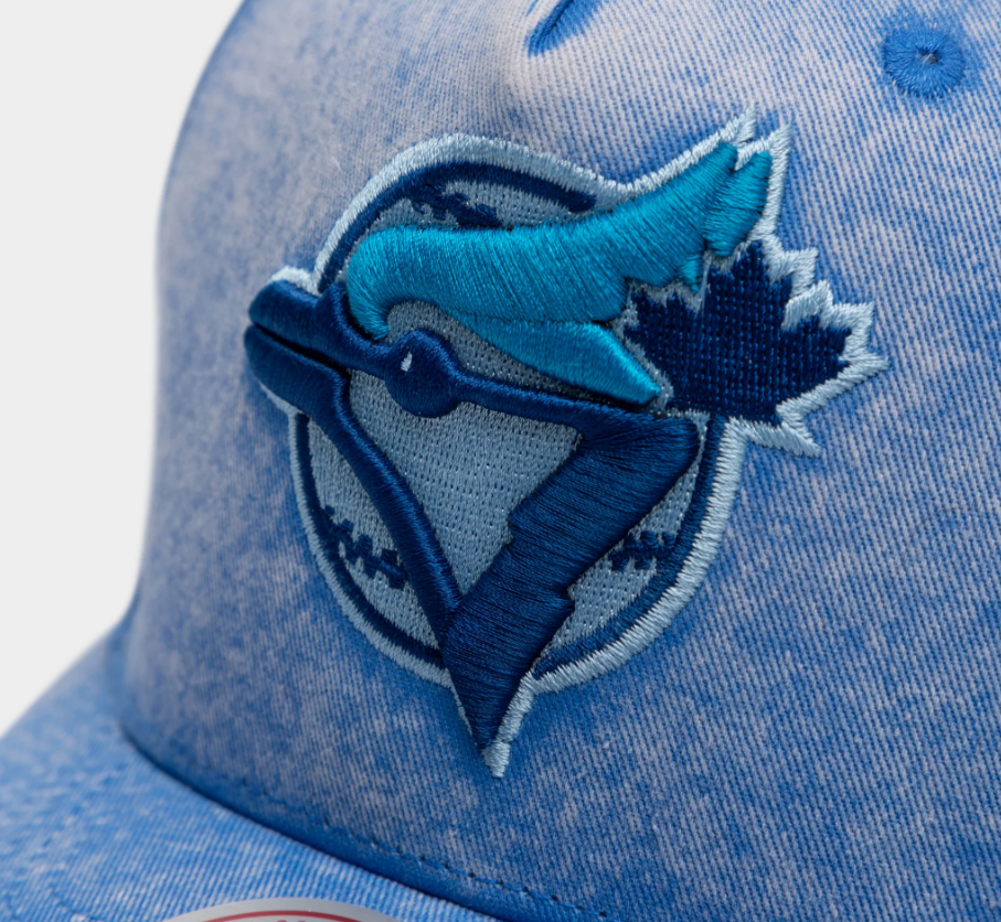 Mitchell and Ness Washed Out Tonal Toronto Blue Jays Pro Snapback