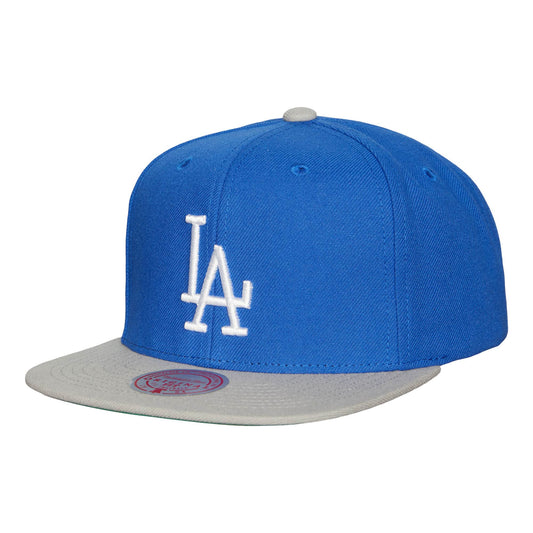 Mitchell and Ness Los Angeles Dodgers Evergreen Snapback