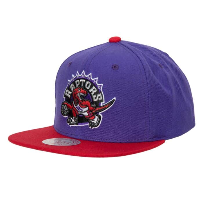 Mitchell & Ness Team 2 Tone 2.0 Toronto Raptors Snapback Hardwood Classic basketball hat